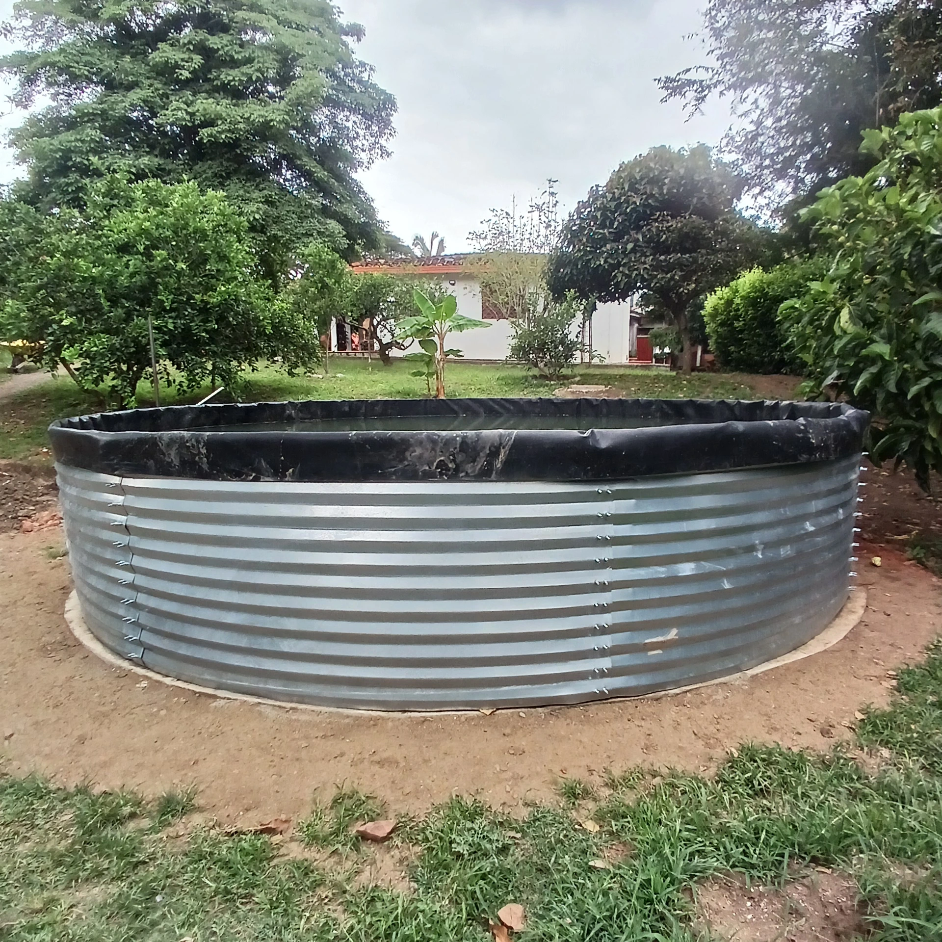 Tanque australiano para tilapia